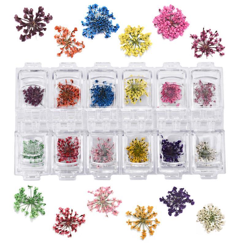 Real Dried Flower Nail Art Decor